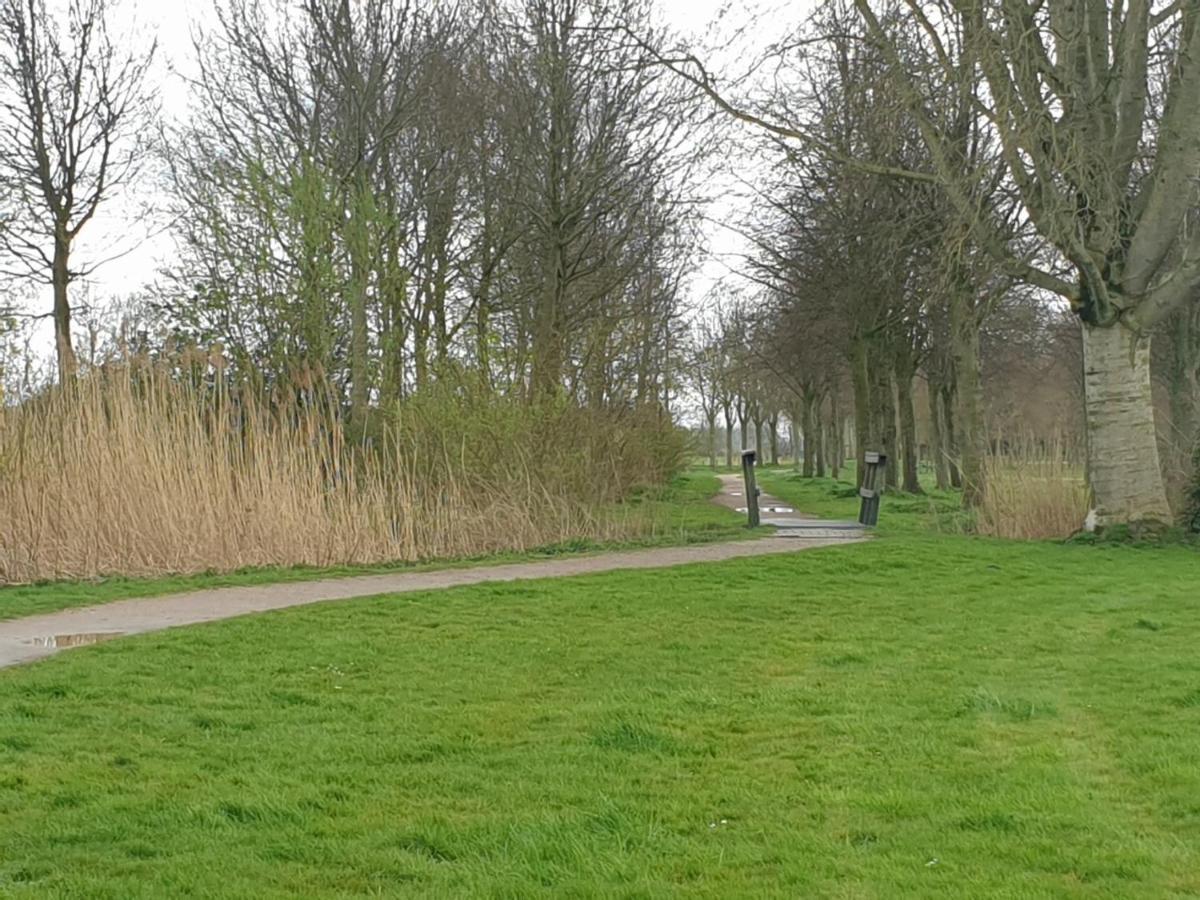 Ruunerwoldse Stekkie Met Eigen Badkamer Ruinerwold Exteriér fotografie